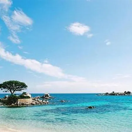Appartement Superbe T2 Standing Calme Port De Plaisance Porto-Vecchio (Corsica)